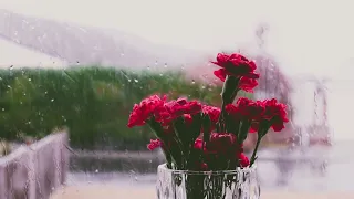 Clair De Lune, Debussy on a Rainy Day | (Relaxing Piano Music, Rain Sound, Peaceful, Deep Sleep)