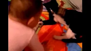 Hilarious Boxing Baby and Cat