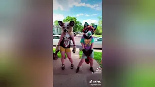 Furry Tik Tok #57 Thanks for the 2.170K