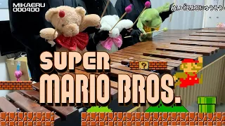 【マリンバ3重奏】ぬいぐるみたちの「スーパーマリオブラザーズ」"Super mario bros" - Teddy bears Marimba trio
