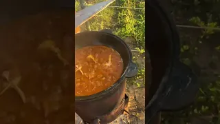 Шашлык и плов @Армен Кулинария