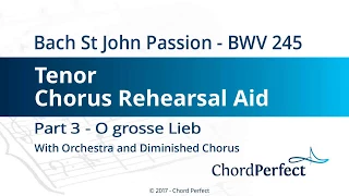 Bach's St John Passion Part 3 - O grosse Lieb - Tenor Chorus Rehearsal Aid