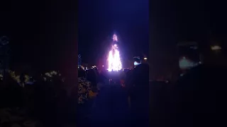 Ёлка Южно-Сахалинск сгорела