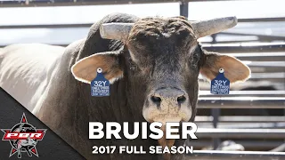 EVERY BUCK From World Champion Bucking Bull SweetPro's Bruiser | 2017