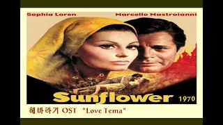 영화  "해바라기, Sunflower,   1970"
