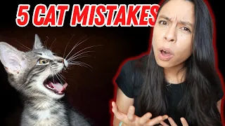 COMMON Cat Mistakes to AVOID!! ⚠️