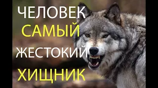 Самый Мощный Ролик!!! ДО СЛЁЗ! ЗВЕРЯ НЕТ СТРАШНЕЙ ЧЕМ ЧЕЛОВЕК