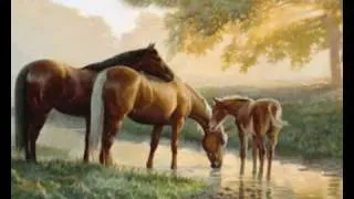 Native American Horses- Road Of Souls