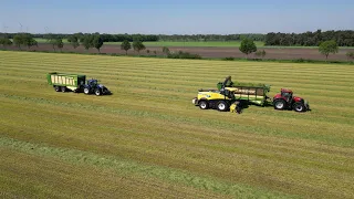 Gras 2023 | Loonbedrijf Prenger | New Holland FR550 | New Holland T7.270 | Case Optum 270