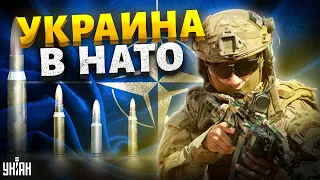 Украина уже в НАТО, Западу нужно это признать. Россия миру не нужна - Каспаров