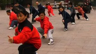 YANG TAI CHI CHUAN by Empty Mind Films