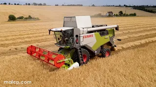 4Kᵁᴴᴰ Claas Trion 530 combine harvester with V560 header cutting barley in Burstall, Suffolk.