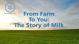 From Farm To You: The Story Of Milk