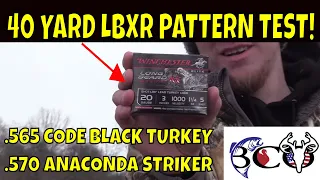 patterning 20 gauge winchester longbeard xr | bco review |