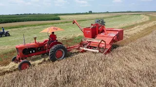 Blackmore Corner Antique Farm Show 2023 Chopping, Cutting, Plowing, and more