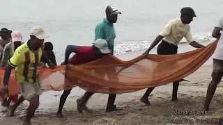 Fishing in Coastal Areas Using Tractors In The Sea