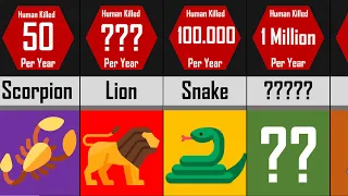 Ranking : Deadliest Animals on Earth