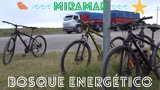 ALQUILAMOS BICIS Y NOS VAMOS AL BOSQUE ENERGÉTICO / #miramar