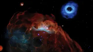 Cosmic Reef : NGC 2014 and NGC 2020