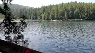 Sasamat Lake Loop Trail and White Pine Beach - HD - BuyRIC.com