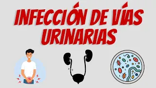 Infección de Vías Urinarias | Actualización 2022