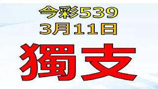 樂透奇俠3月11日-今彩539-尾數獨支