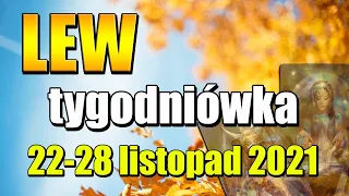 LEW TAROT TYDZIEŃ 22 28 LISTOPAD 2021