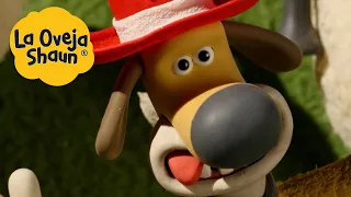 La Oveja Shaun 🐑 ¡¿Un sombrero nuevo?! 🐑 Dibujos animados para niños