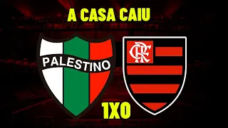 TITE PERDEU A LINHA AO VIVO ! FLAMENGO 0X1 PALESTINO ! NOTICIAS DO FLAMENGO HOJE