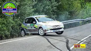 Subida Vega de Espinareda 2024 | Mistakes & Drift | A.V.Racing #crash #hillclimbracing #rally