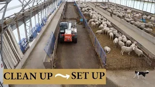 How I Prepare My Barn For Lambing (FROM CLEANUP TO SETUP): Vlog 145