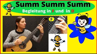 Summ Summ Summ Begleitung auf der Gitarre in F und in D