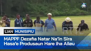 MAPPF Dezafia Natar Na’in Sira Hasa’e Produsaun Hare iha Aileu