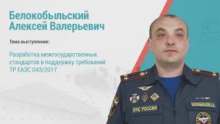 Алексей Белокобыльский. Разработка стандартов в поддержку ТР ЕАЭС 043