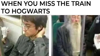 Harry Potter Memes