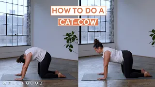 How to do a Cat-Cow | The Right Way | Well+Good