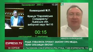 Закон про медіа виписаний недосконало, нам доведеться його виправляти, – Княжицький