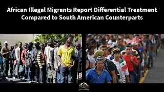 Eye-opening Comparison: African vs South American Migrants