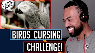 TRY NOT TO LAUGH - BIRDS CURSING CHALLENGE!