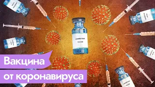 Что известно о Спутнике V и других вакцинах от коронавируса / Максим Кац