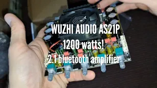 NEW!! WUZHI ZK-AS21P 1200W! unboxing and quick overview