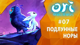 Прохождение Ori and the Will of the Wisps #07 - Подлунные норы