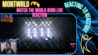 Reacting to Reactors // MontWRLD reacting to Watch the World Burn!!
