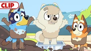 Bluey Season 3 Episode 36 "Dirt" Episode Clip | @disneyjunior | @BlueyOfficialChannel​