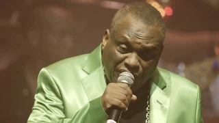 TABOU COMBO  Le concert des 50 ans - 02   Riyel (Zénith de Paris 2018)