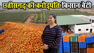 "छत्तीसगढ़ की करोड़पति किसान" बेटी।Millionaire farmer "daughter of Chhattisgarh"।Tamater ki kheti