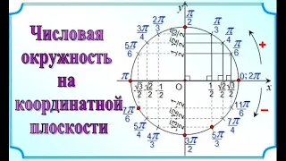 3  Единичная окружность на координатной плоскости  10 класс