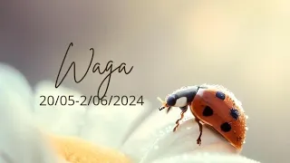 Waga ♎ 20/05-2/06/24 🐞 Miłość, miłość i jeszcze raz miłość ❤️