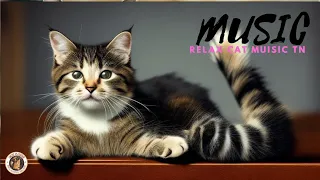 😽"Music for Cats: A Guide to Relaxing Your Cat"🎼