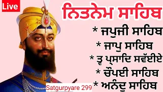 ਸਰਬੰਸਦਾਨੀ ਪਿਤਾ | Nitnem panj bania | ਨਿਤਨੇਮ ਪੰਜ ਬਾਣੀਆ | Nitnem fast | japji sahib | Satgurpyare 299